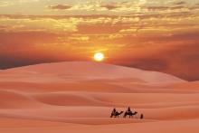  شناخت دبی؛ سفر به منطقه حفاظت‌شده صحرای دبی با خودروی شخصی