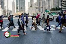 بیمه بیکاری امارات